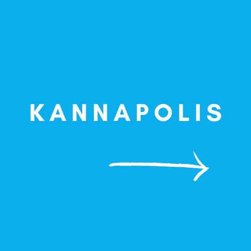 Kannapolis Cleaning Service