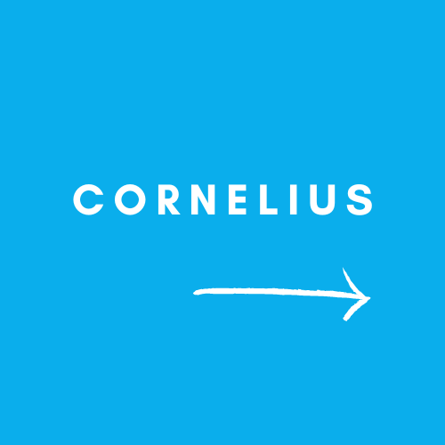Cornelius Cleaning Service