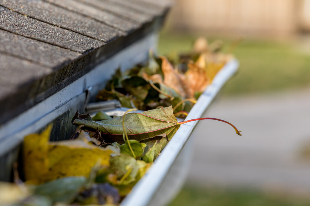 gutter cleaning service