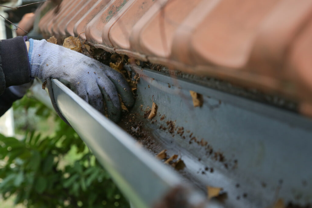gutter cleaning services